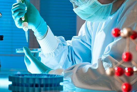 哪些行业领域需要进行洁净厂房的设计与施工