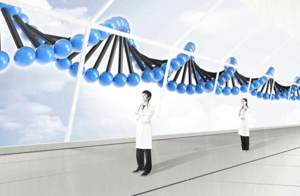 广东净化工程可以分为哪几类